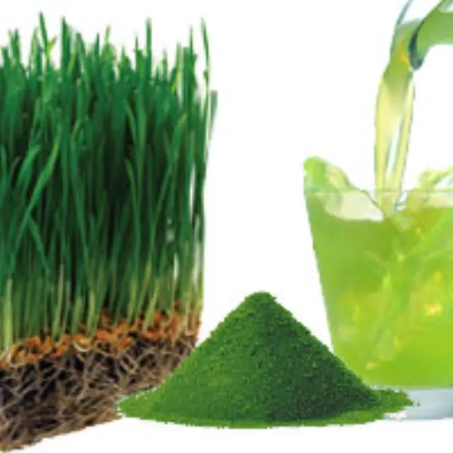 Chlorophyll for Weight Loss