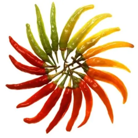 The five spiciest dishes