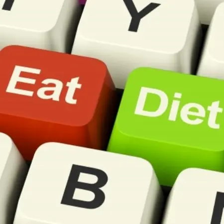 Top 4: The Most Used Diets