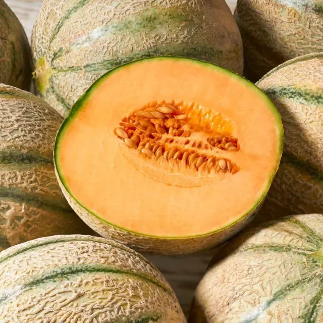 Melon in Your Recipes and Your Health