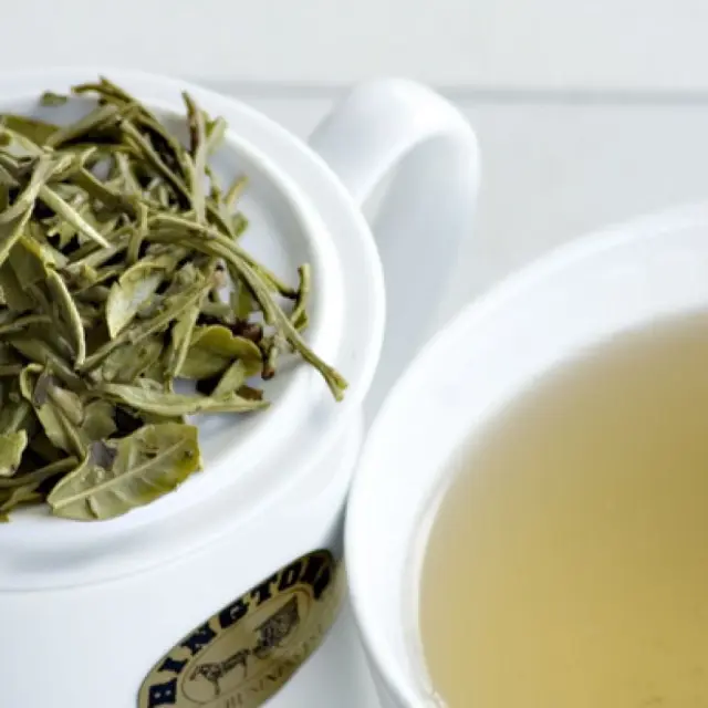 Lose weight with white tea
