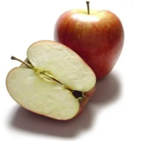 The benefits of apple in your recipes