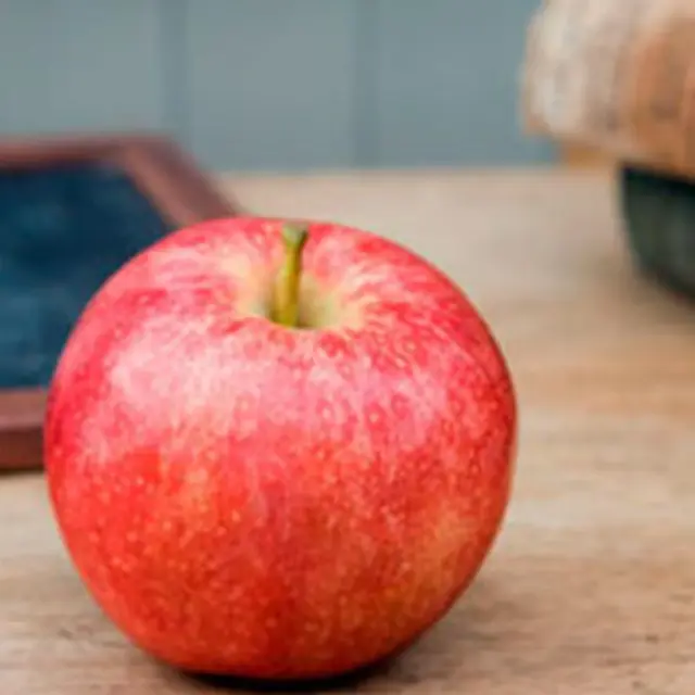 Recipes with Apples, a special gift for Teacher's Day