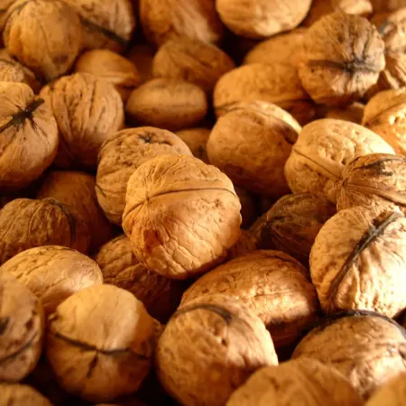 10 Foods That Boost Your Intelligence
