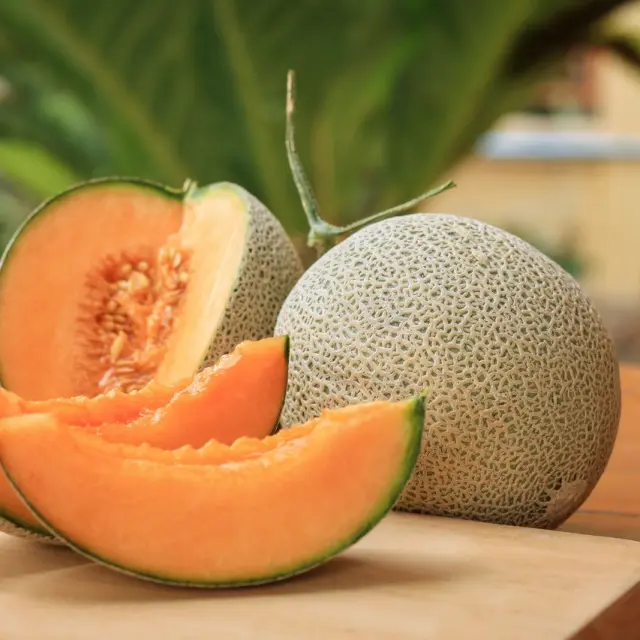 Top 10: Properties of Melon