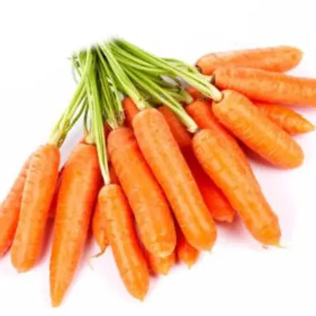 As cenouras e sua importância em suas receitas