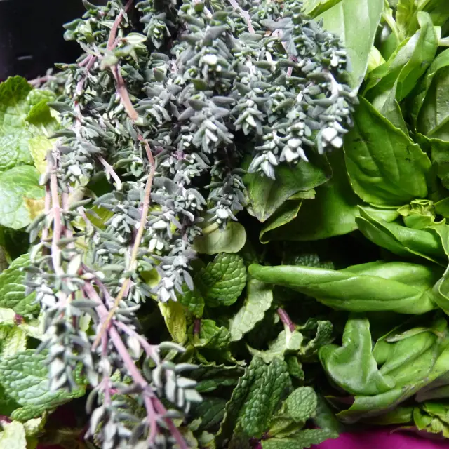 Top 5: recipes with herbs
