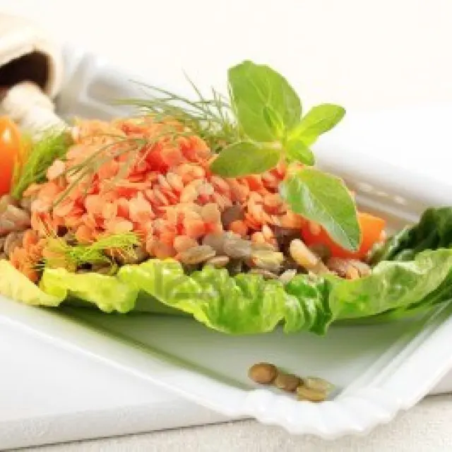 Top 5 Vegetarian Recipes