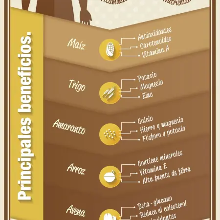 Whole Grains, essential in a balanced diet