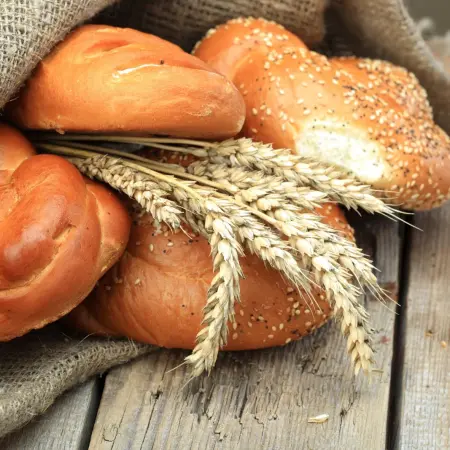 Does bread make you gain weight?