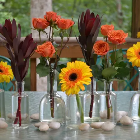 Top 5 flowers in the house