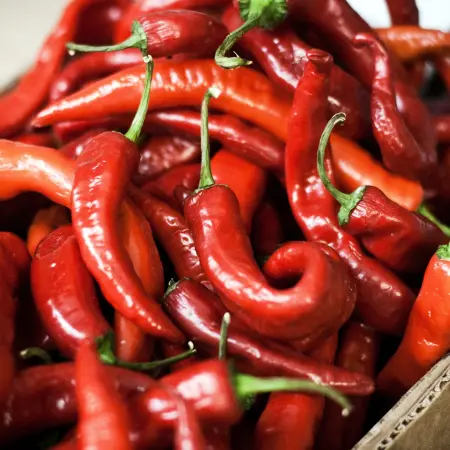 To spice things up deliciously, the spiciest cuisines in the world