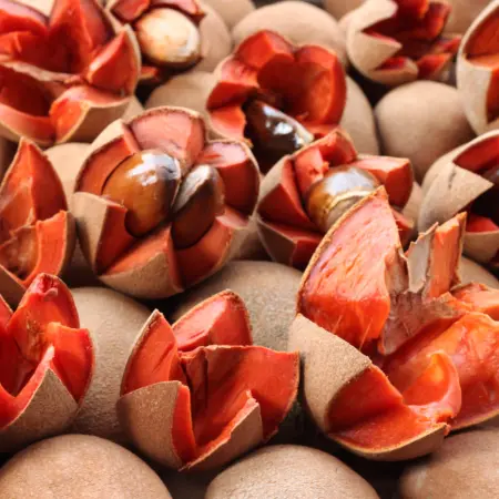 The wonderful properties of mamey