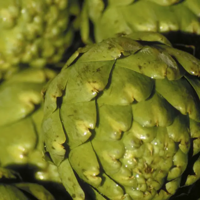 5 alimentos que sim reduzem a celulite