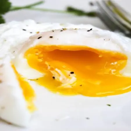 What does it mean to be ovo-vegetarian?