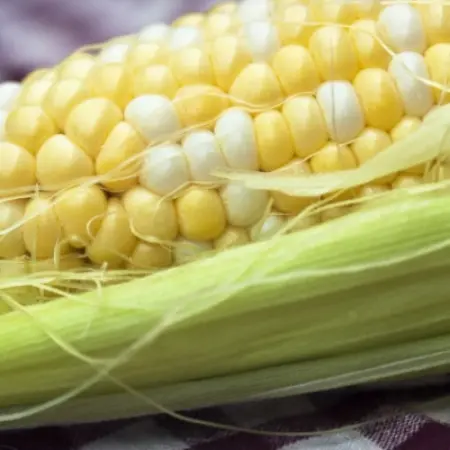 Chefs from Mexico Speak Out Against GMOs
