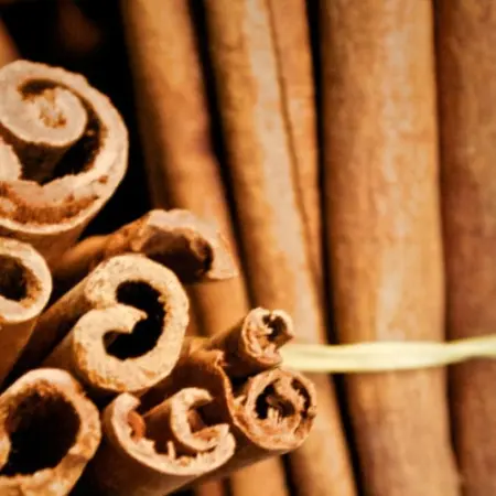 The flavor of life or how spices transform hearts