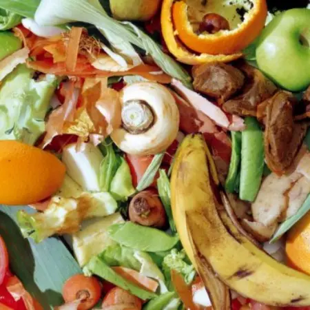 Comida ao lixo: Os níveis do desperdício