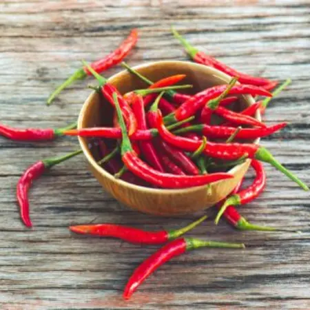 Spiciness Scale: What is the Hottest Chile?