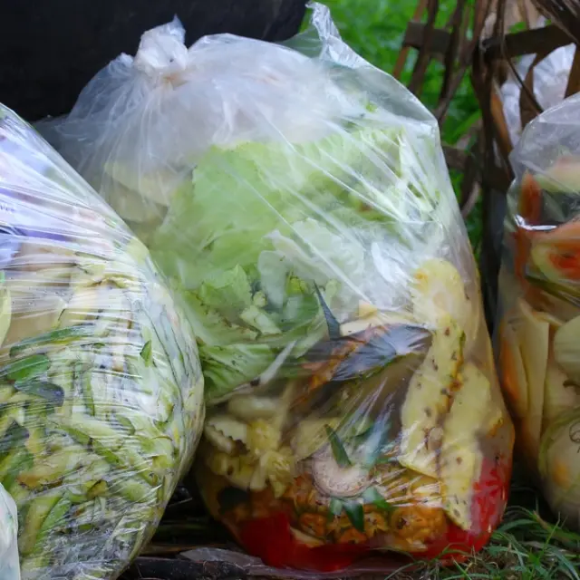 5000 people were fed from what could have been discarded as trash