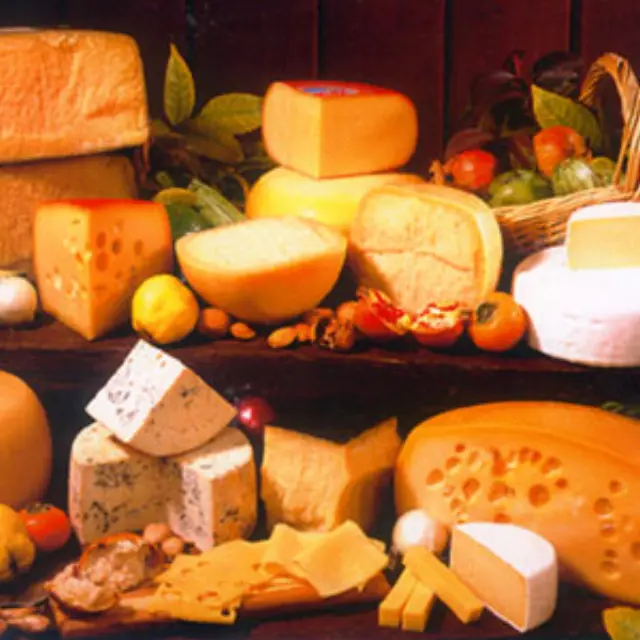 Recommended cheese recipes