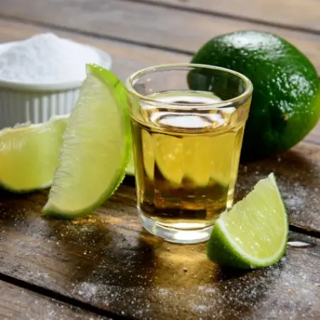 Learn about the origin of Tequila