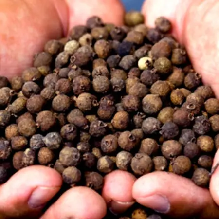 Uses of Pepper in Cooking