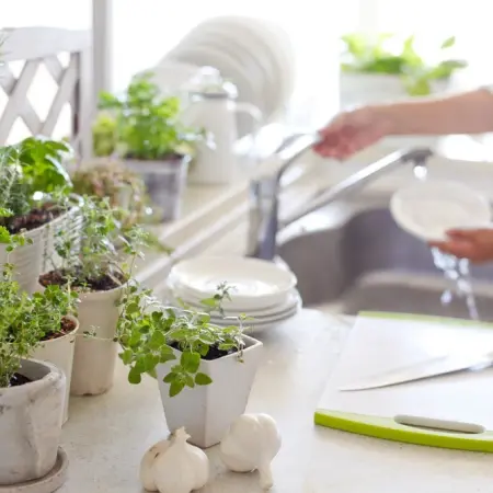 Perfect Plants to Have in the Kitchen