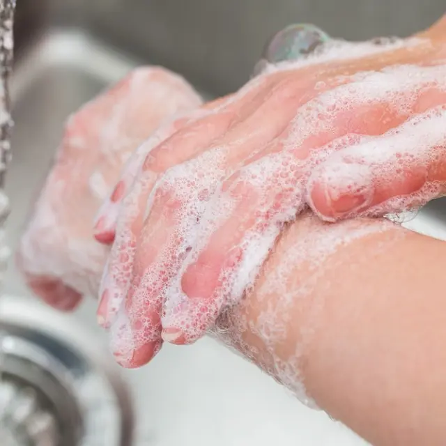 Hygiene and Prevention to Avoid Diseases at Home and Office