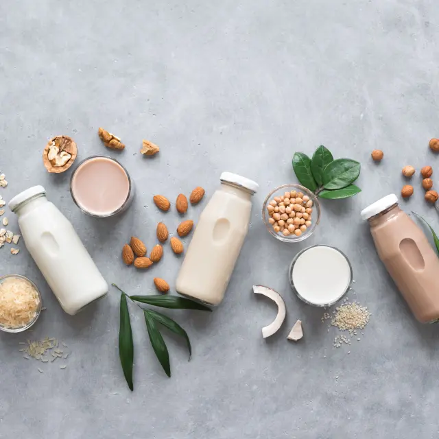 Discover everything about homemade plant-based milks