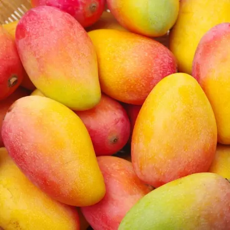 Discover 4 tips for choosing the best mango
