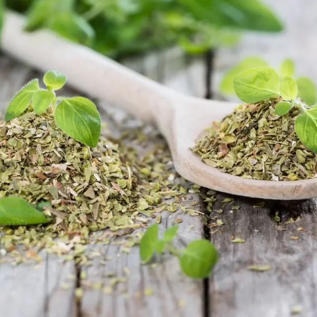 What is oregano good for?