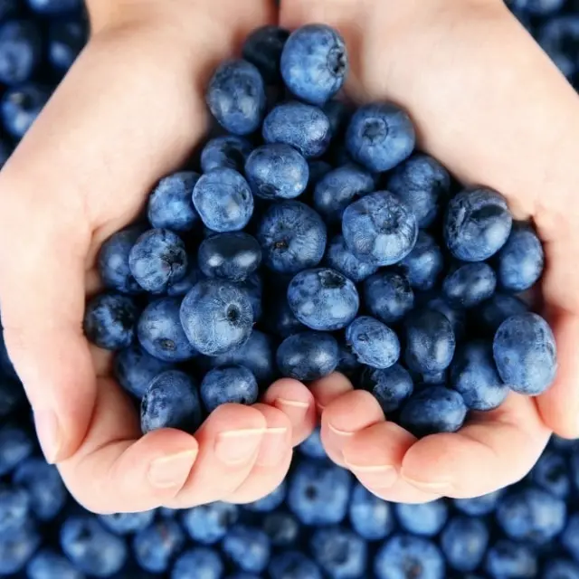 5 Foods to Strengthen Nails