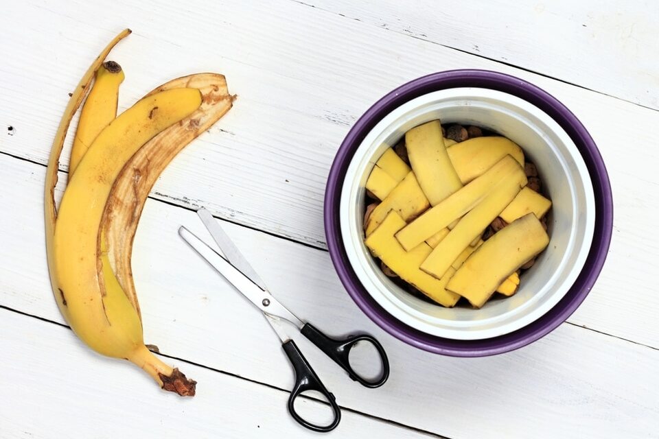 tubo respirador Impedir Inscribirse Cáscaras de plátano: el mejor aliado para tus plantas