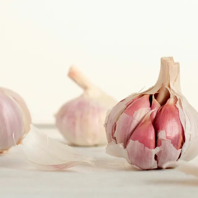The benefits of garlic for human health