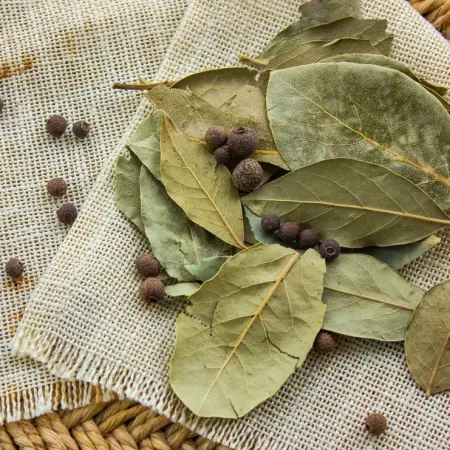 Discover the incredible benefits of bay leaf
