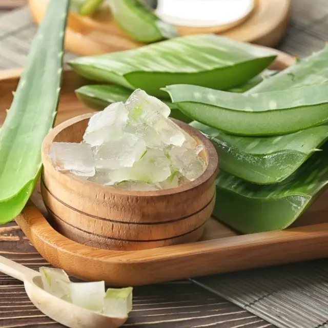 Os incríveis benefícios do aloe vera para a pele