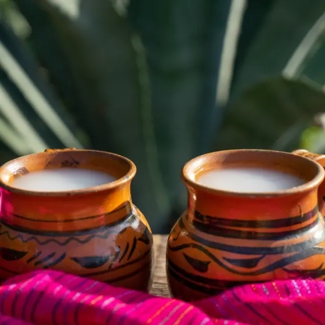 Discover the jewel behind Tlaxcalteca cuisine