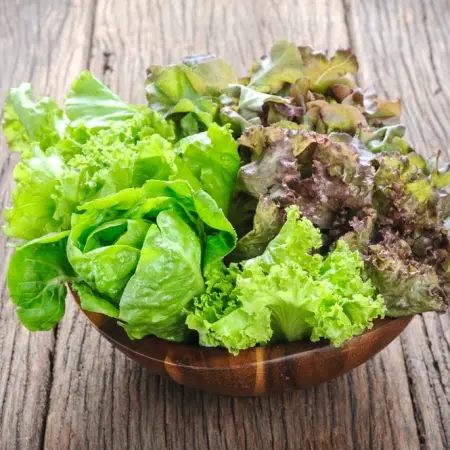 What are the benefits of eating lettuce?