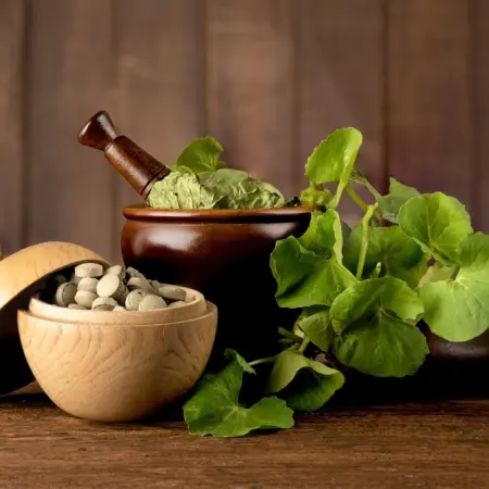 Natural ingredients that are basic in Korean skincare