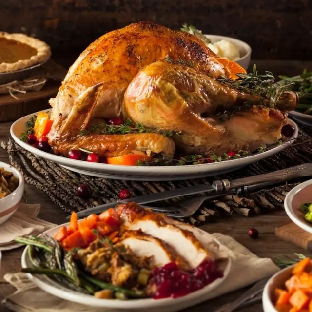 The turkey, the native bird that stars in Thanksgiving