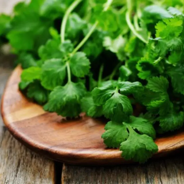 4 tips for cilantro and parsley to last longer