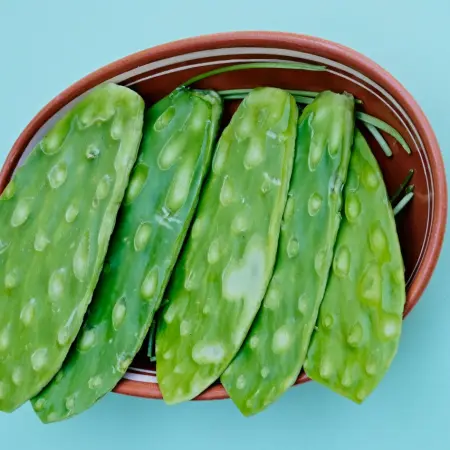 Nopal Face Mask to Hydrate the Skin