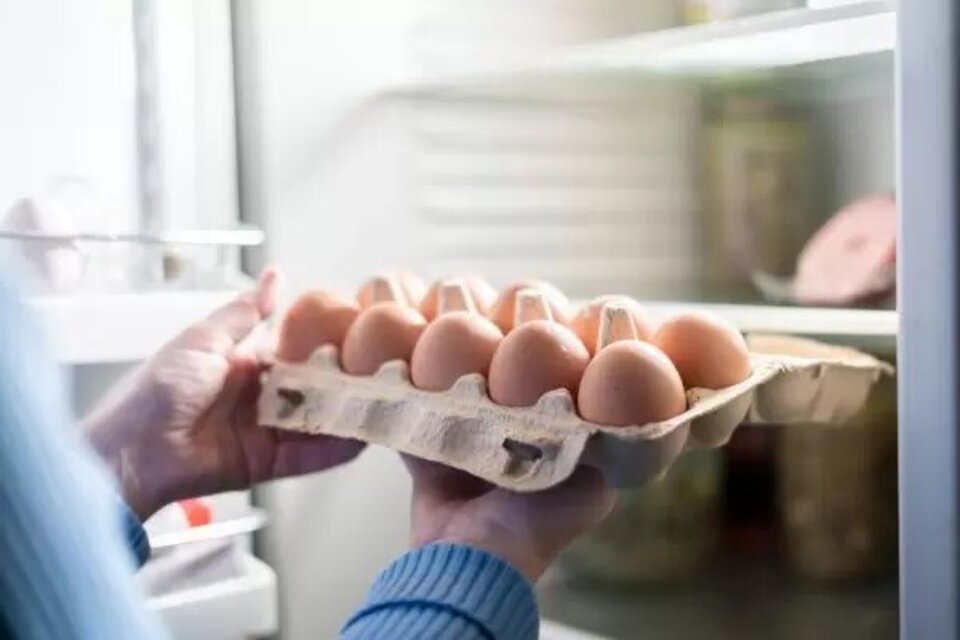 The Best Way to Keep Eggs Fresh
