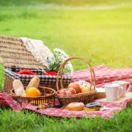 What should the perfect picnic include?