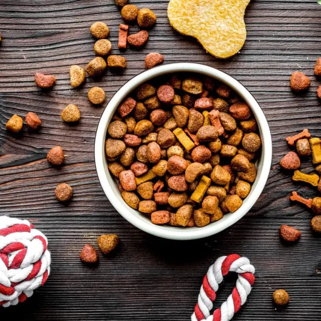 Dog Food: What is the Best Brand of Kibble?