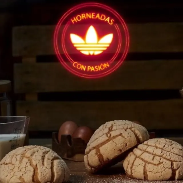 Adidas conquers us with its shell-shaped sneakers