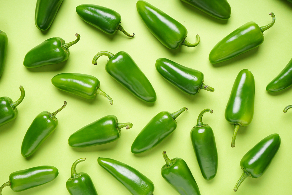 Fresh serrano chili