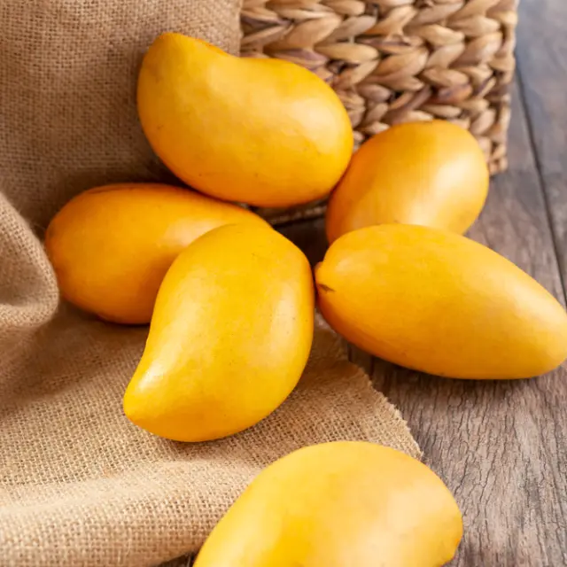 The fascinating history of the Ataulfo mango