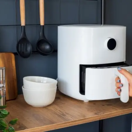 Profeco: What is the best air fryer? 